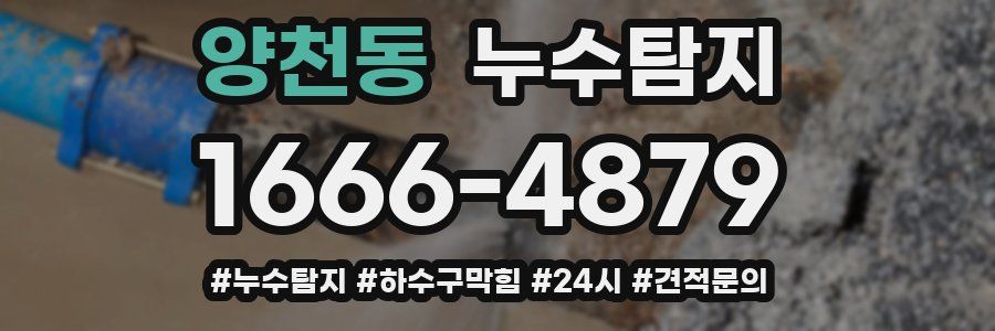 누수닥터 누수탐지