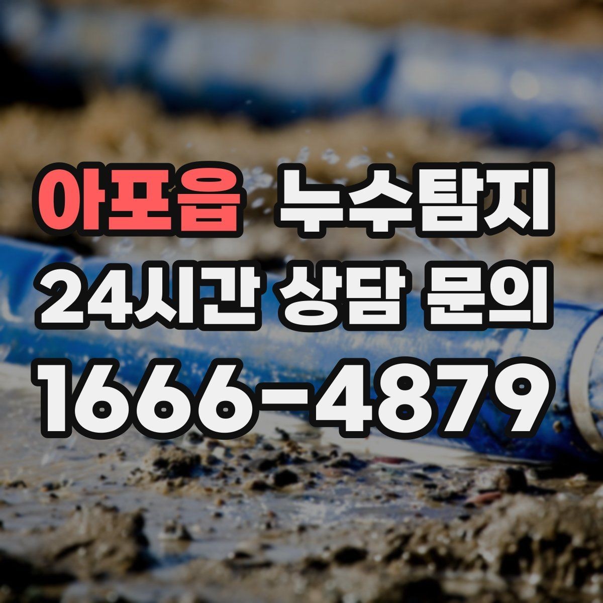 아포읍 누수탐지 바닥 습기와 장판 들뜸 해결기