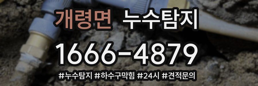 누수닥터 누수탐지