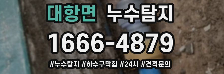 누수닥터 누수탐지