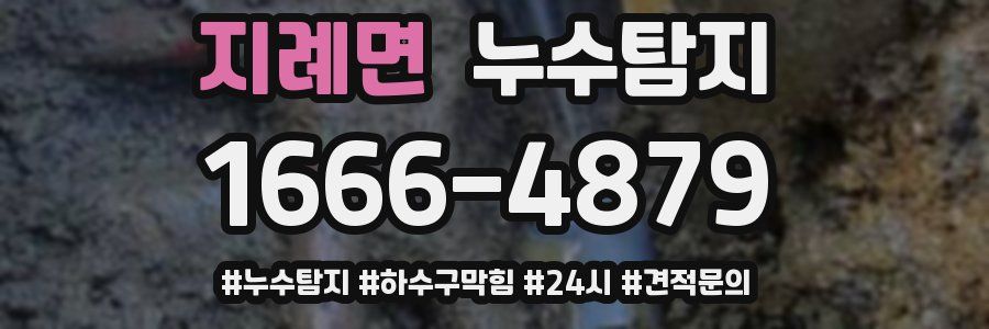 누수닥터 누수탐지