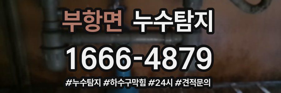 누수닥터 누수탐지