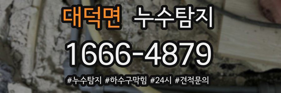 누수닥터 누수탐지