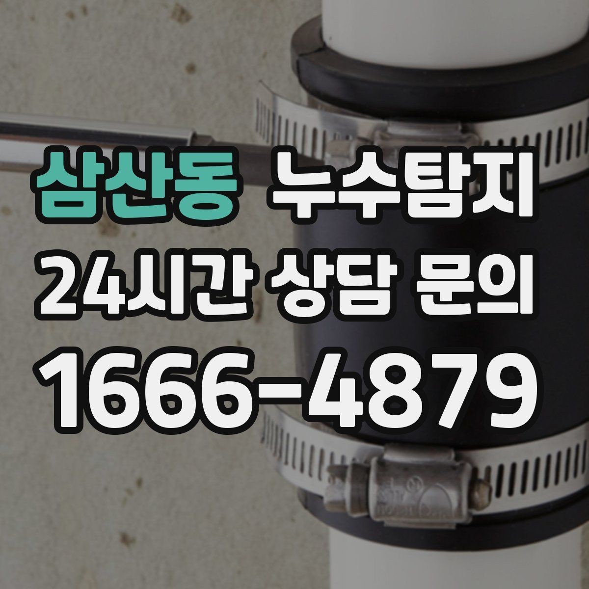 삼산동 누수탐지 실내 곰팡이와 악취 방지를 위한 방법