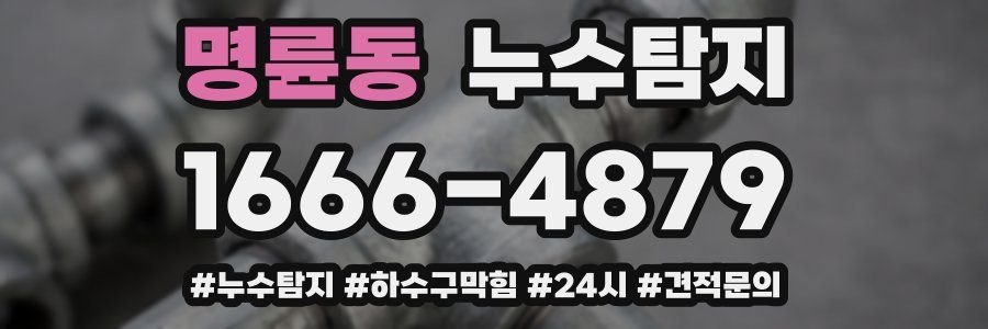 누수닥터 누수탐지