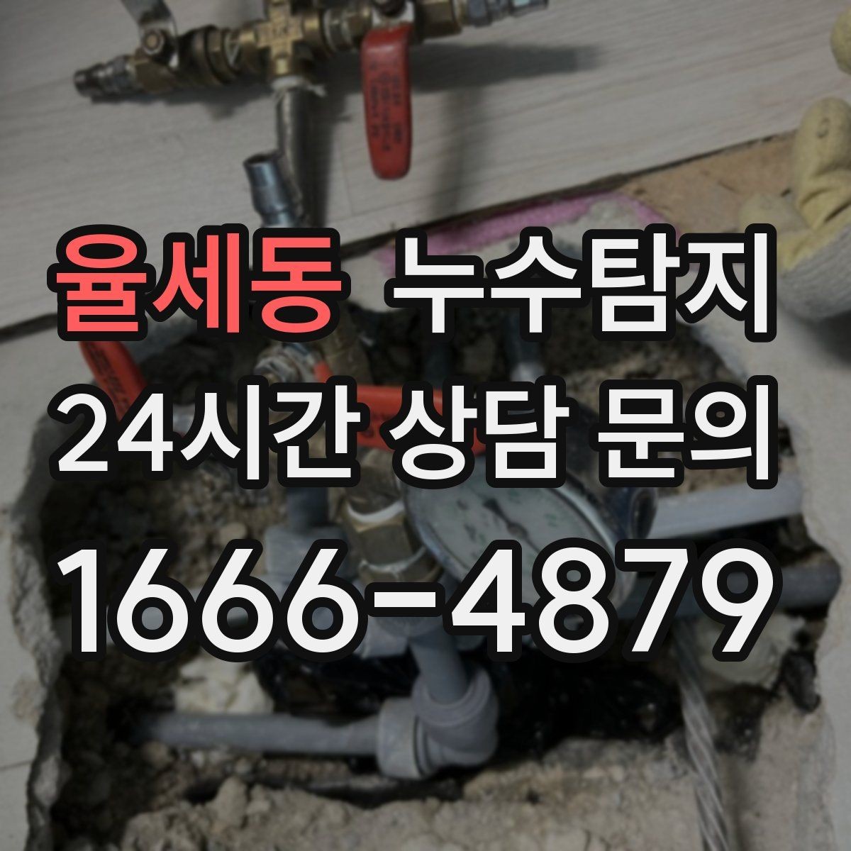 율세동 누수탐지 공용배관 의심되는 부분 판별