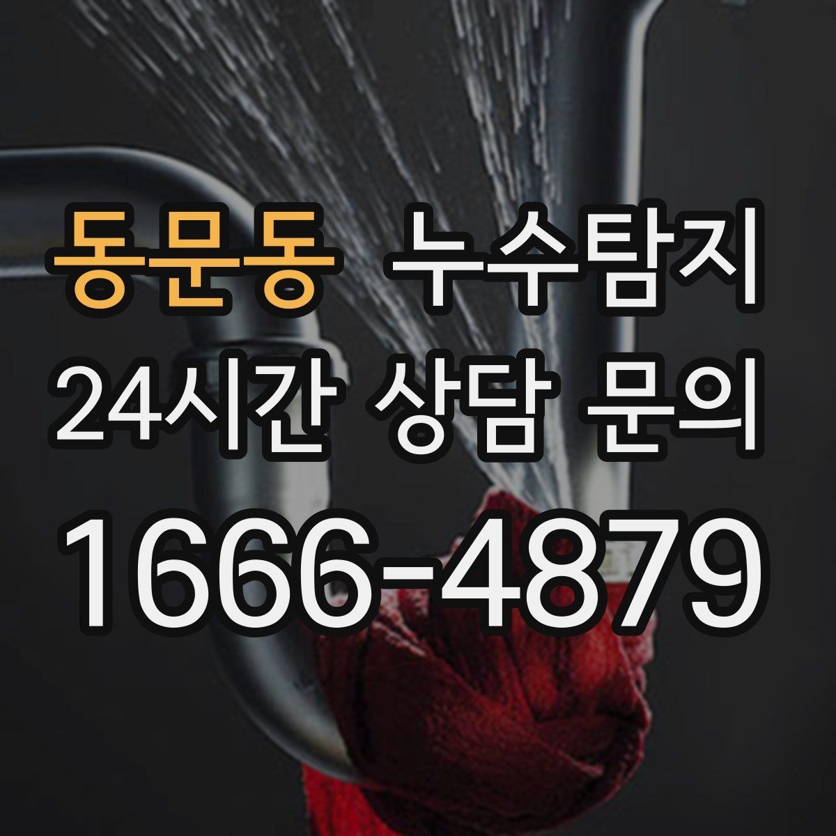 동문동 누수탐지 아이 방 벽체 얼룩 해결