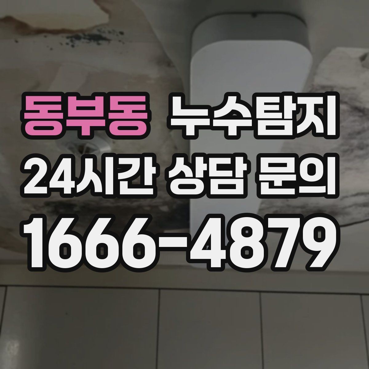 동부동 누수탐지 가구 뒤 곰팡이 원인 파헤치기