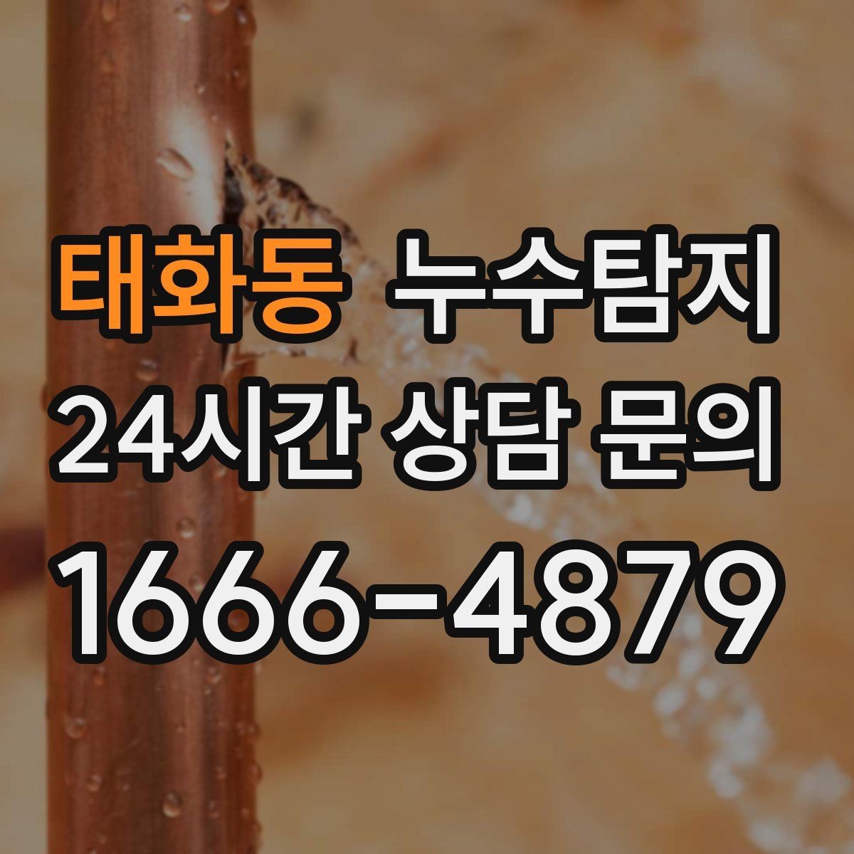 태화동 누수탐지 리모델링 일정 차질 막은 기록
