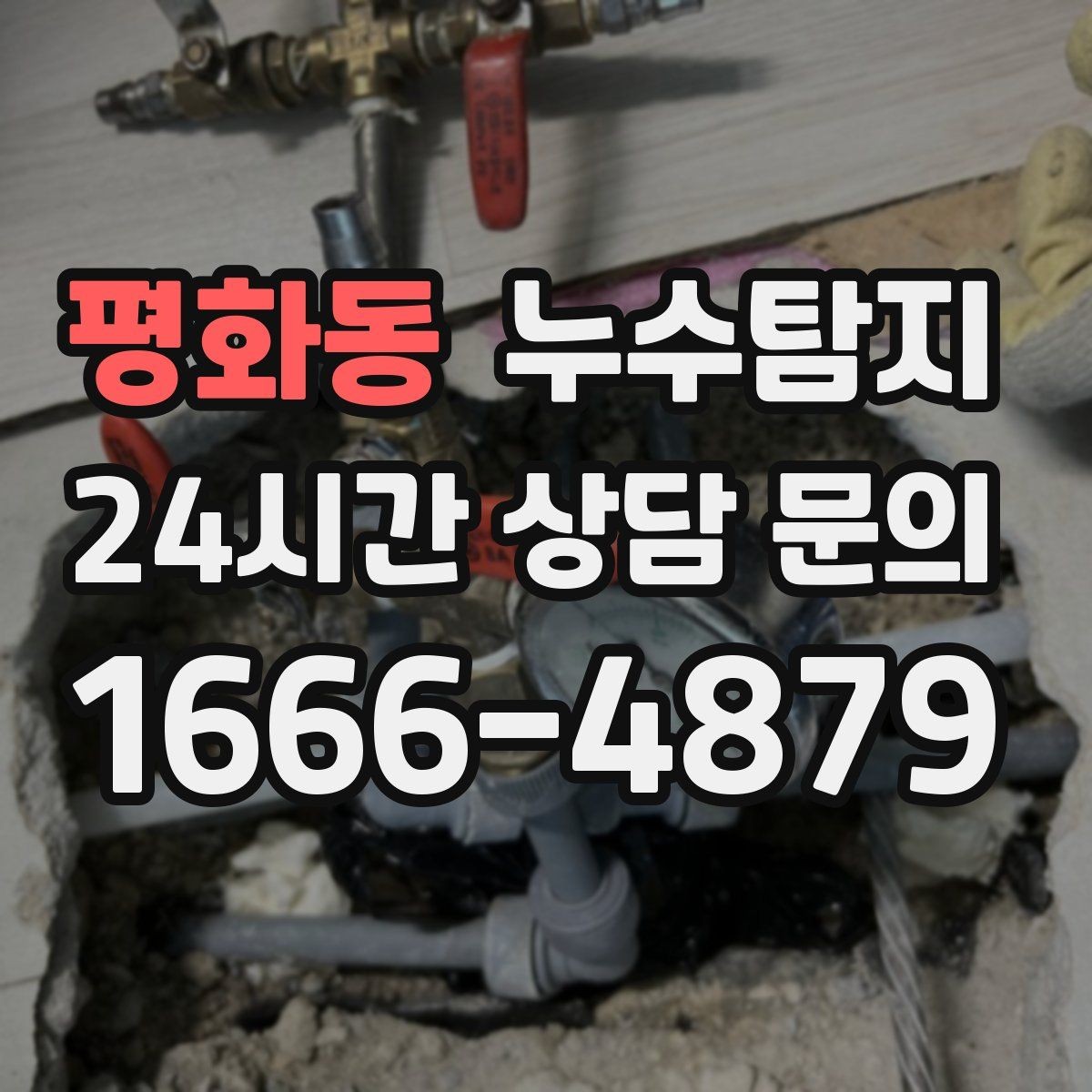 평화동 누수탐지 세탁기 배수관 누수 해결