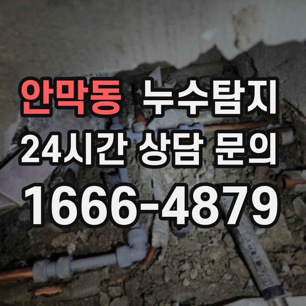 안막동 누수탐지 현관 주변 습기 원인 제거 과정