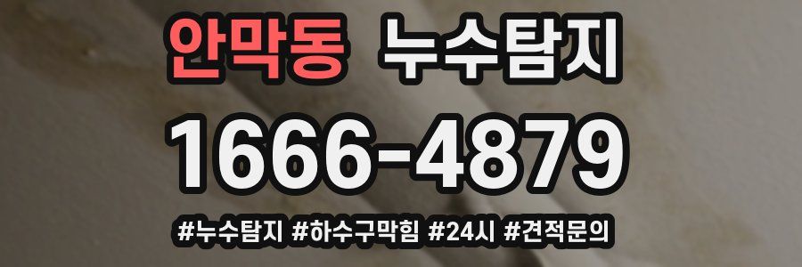 누수닥터 누수탐지