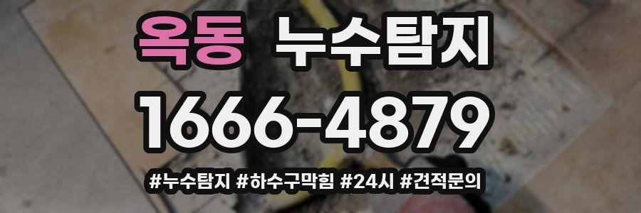 누수닥터 누수탐지