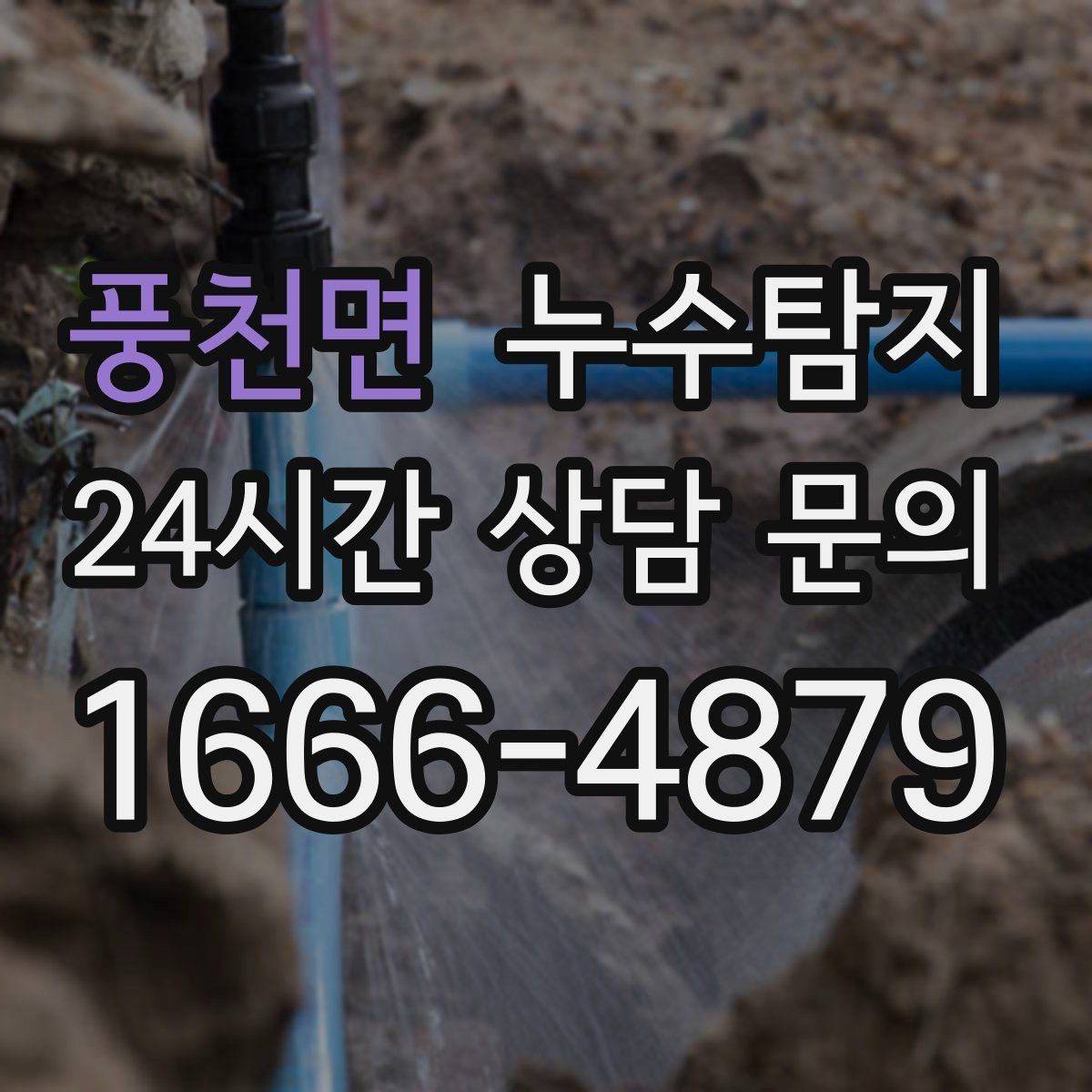 풍천면 누수탐지 반려가정 배려 점검 후기