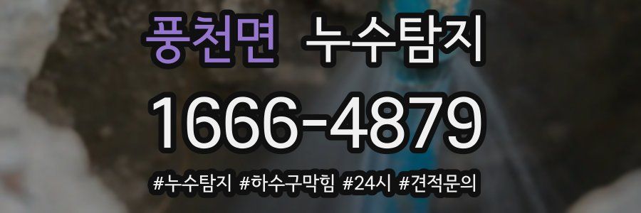 누수닥터 누수탐지