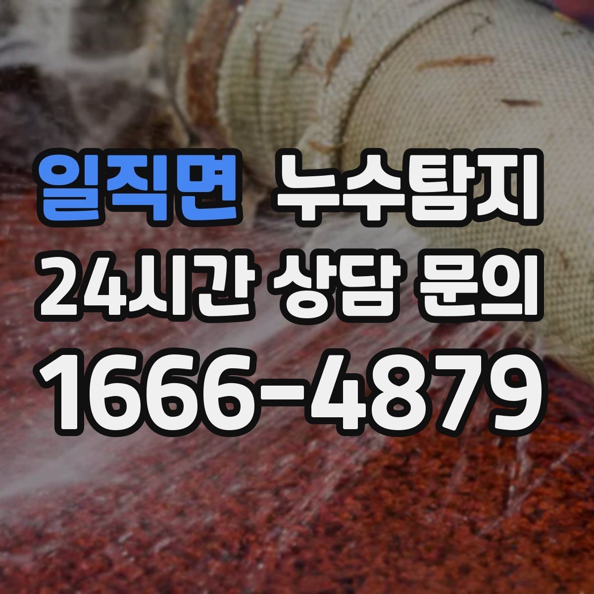 일직면 누수탐지 천장 석고보드 내부 점검해보니