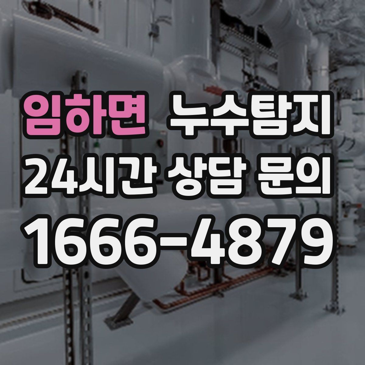 임하면 누수탐지 우리 집에 맞는 복구 공법 선택법