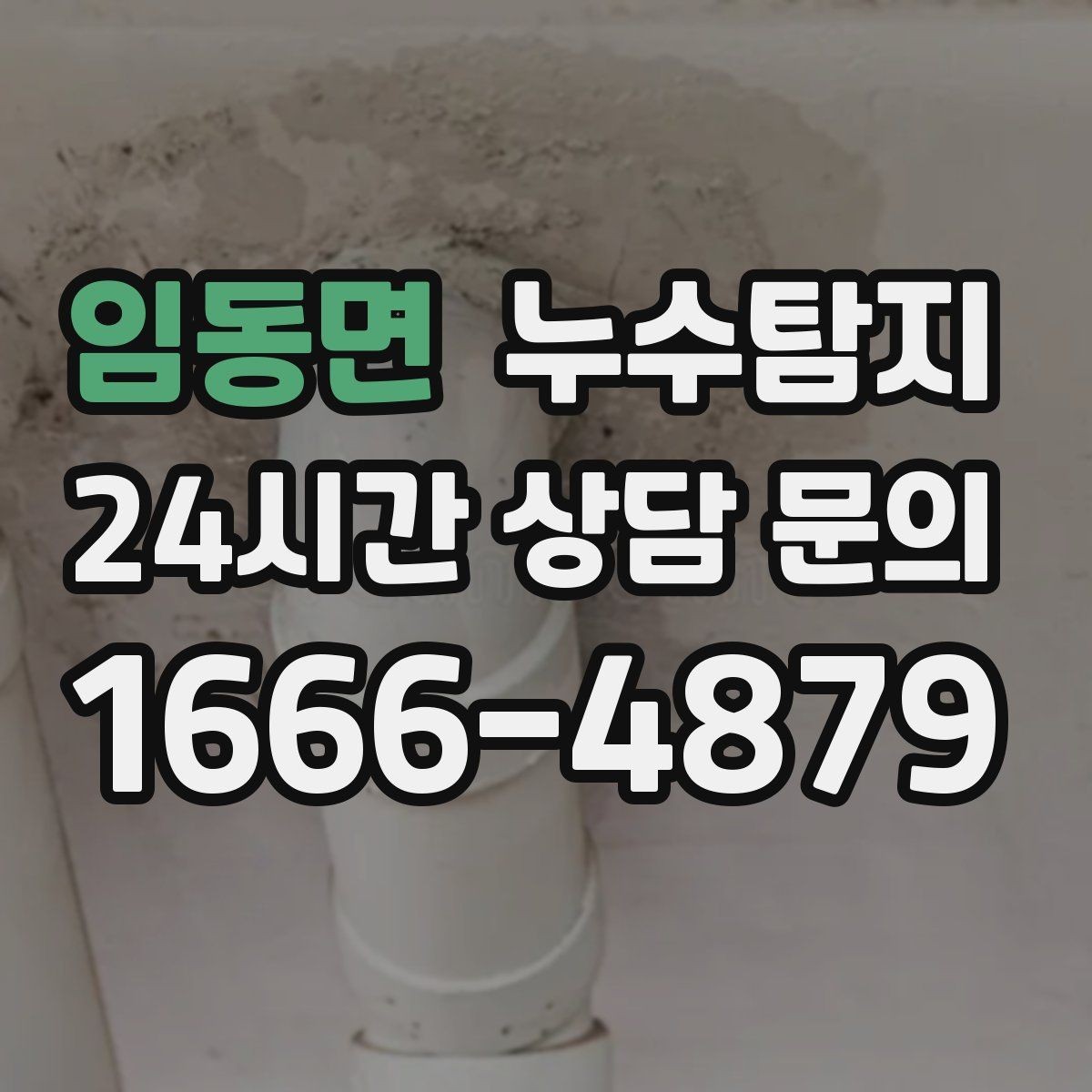 임동면 누수탐지 장비 기반 정확 진단