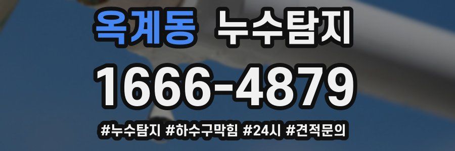 누수닥터 누수탐지