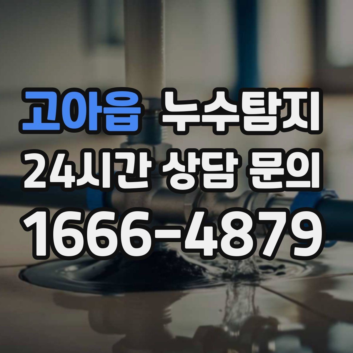 고아읍 누수탐지 천장에서 떨어진 물방울의 기록
