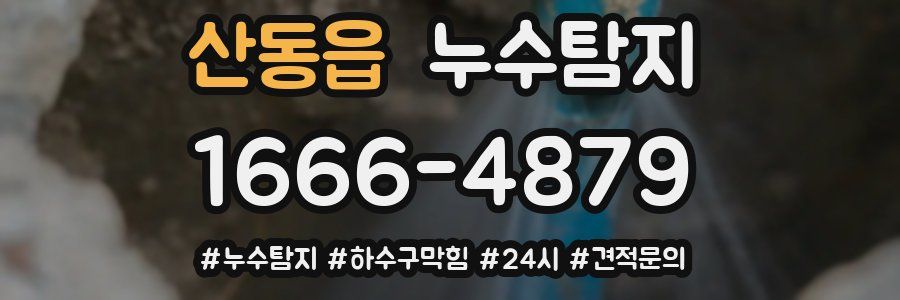 누수닥터 누수탐지