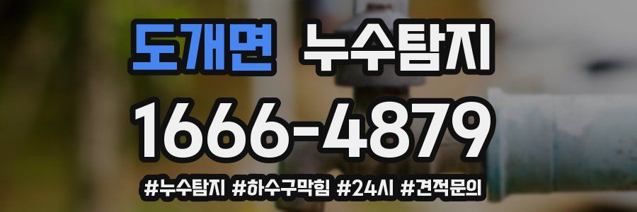 누수닥터 누수탐지