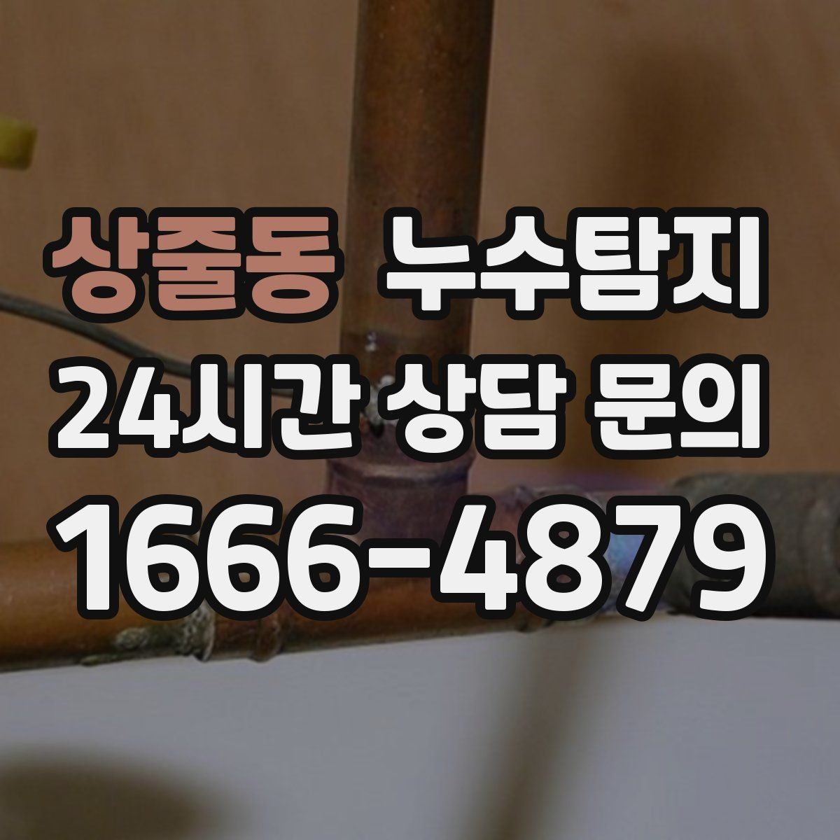 상줄동 누수탐지 주방 벽면 얼룩 실전 대응기