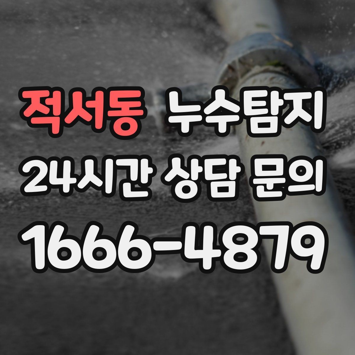 적서동 누수탐지 신축 아파트 초기 하자 점검기