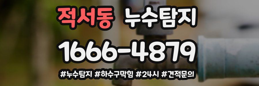 누수닥터 누수탐지