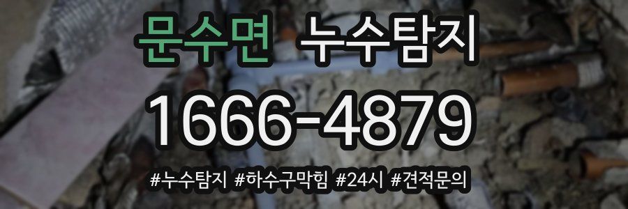 누수닥터 누수탐지