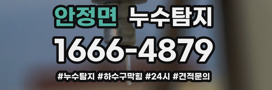 누수닥터 누수탐지