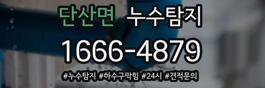 누수닥터 누수탐지