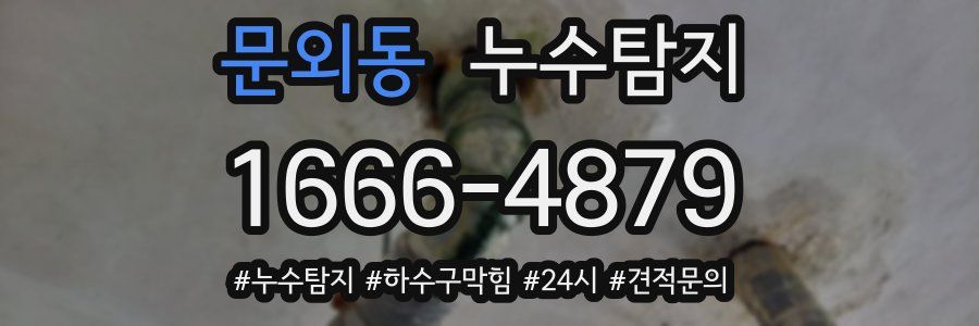 누수닥터 누수탐지