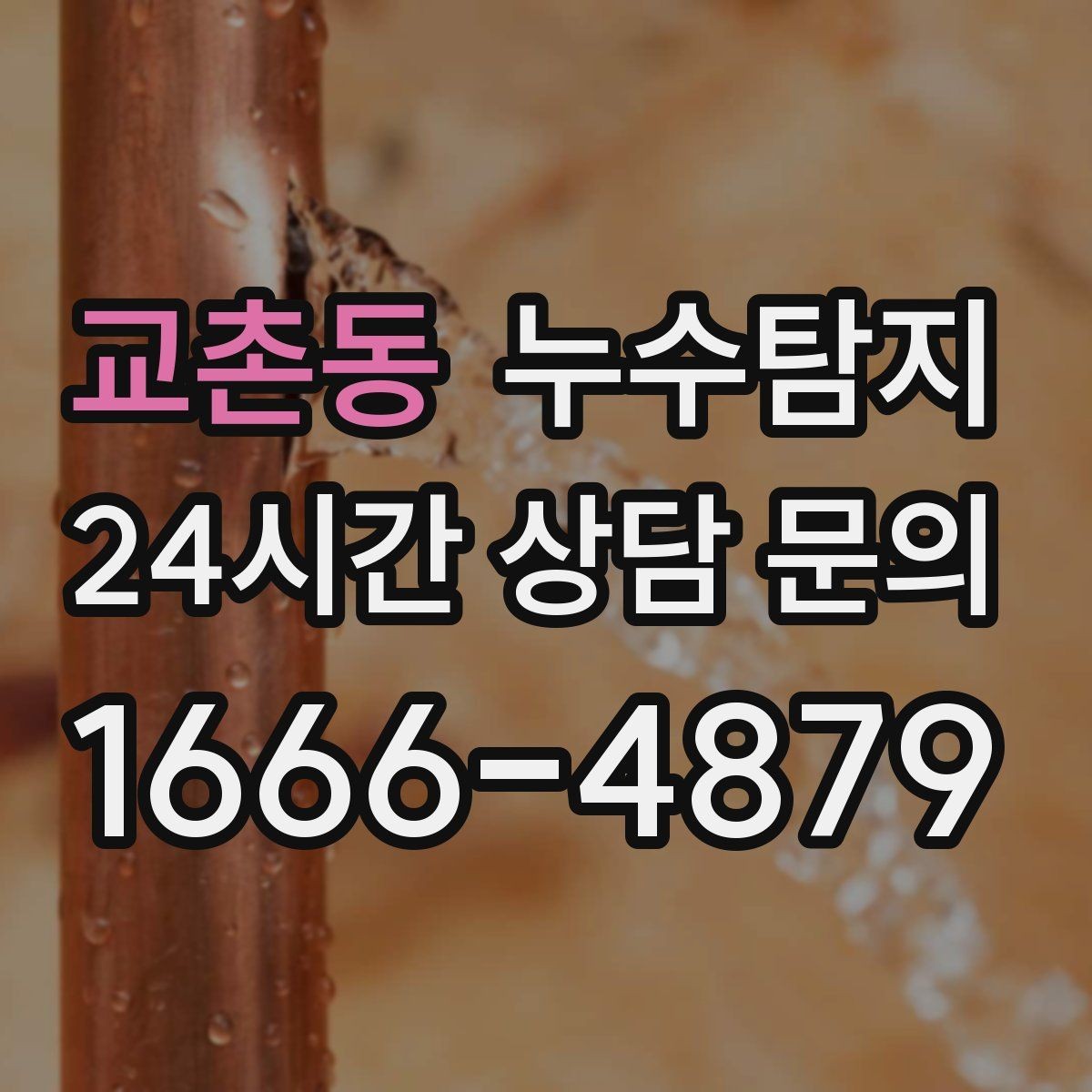 교촌동 누수탐지 예약 즉시 방문 가능 지역