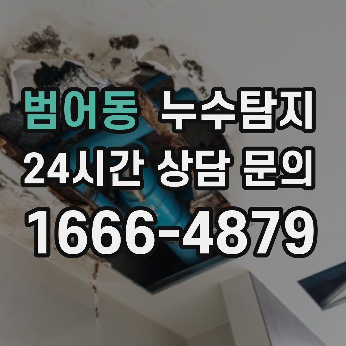 범어동 누수탐지 새집 곰팡이 원인 차단