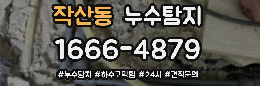 누수닥터 누수탐지