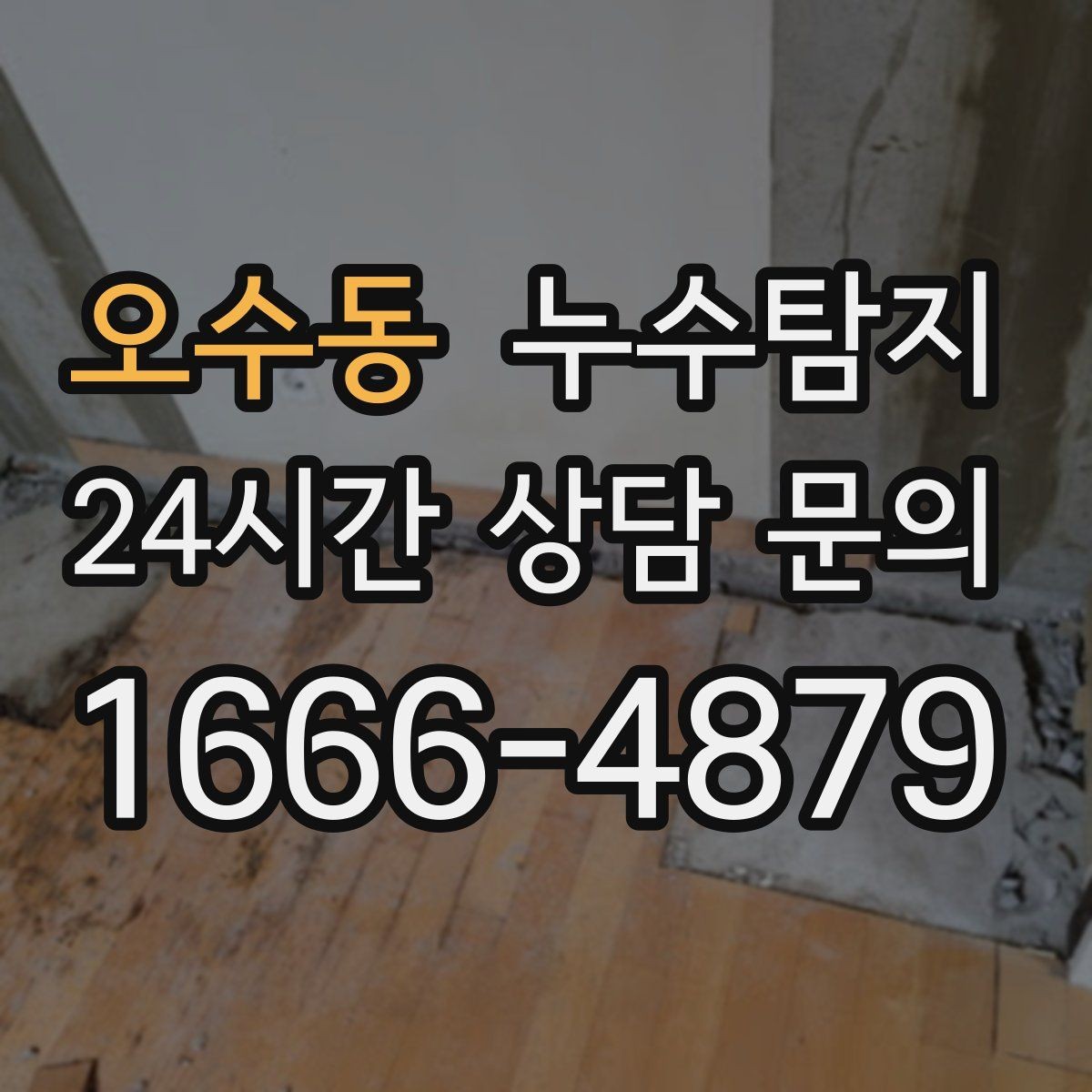 오수동 누수탐지 옥상 방수층 상태 점검 노트