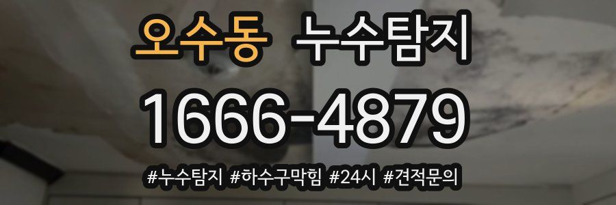 누수닥터 누수탐지