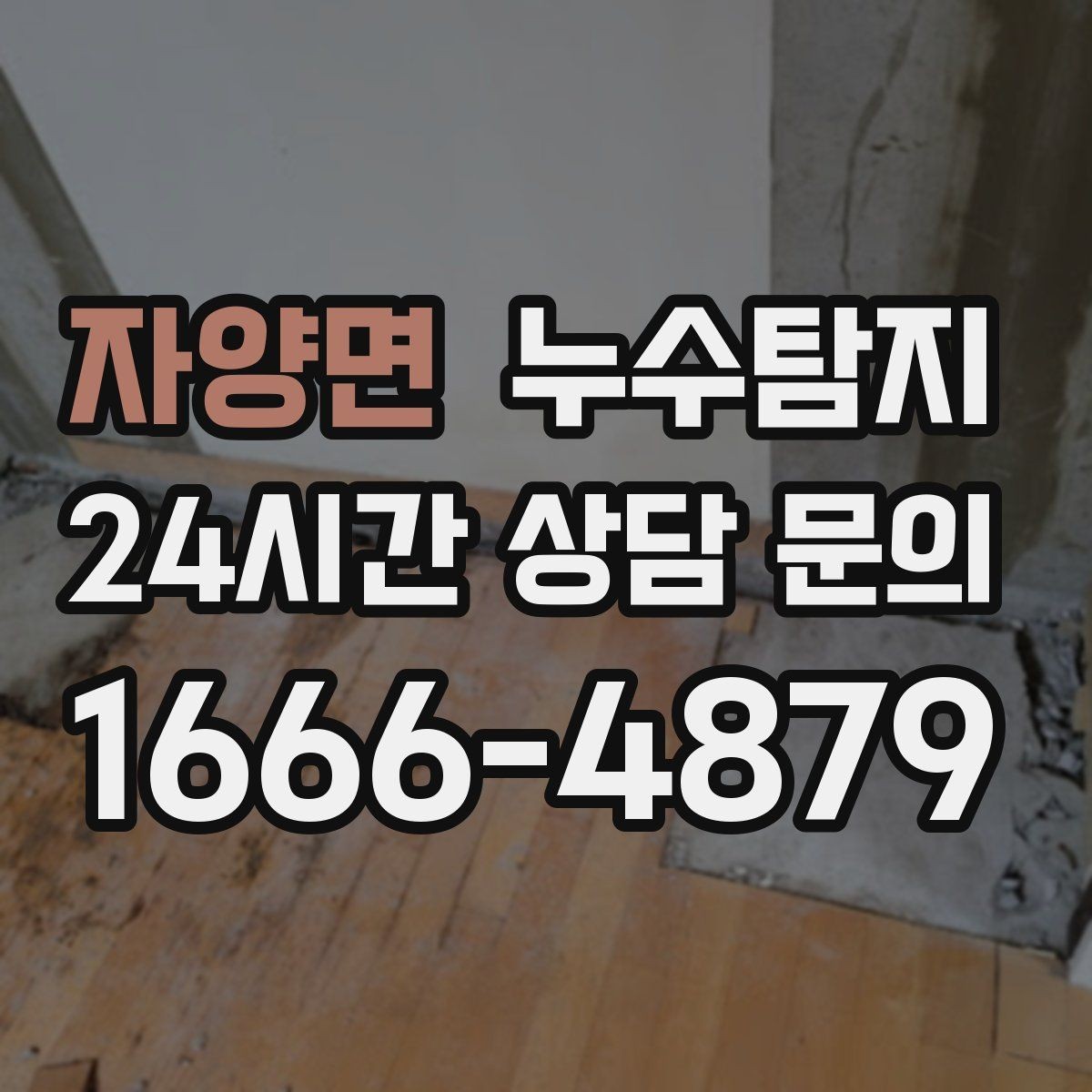 자양면 누수탐지 단독주택 외부 관로 점검 이야기