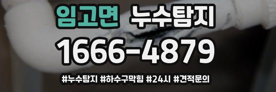 누수닥터 누수탐지