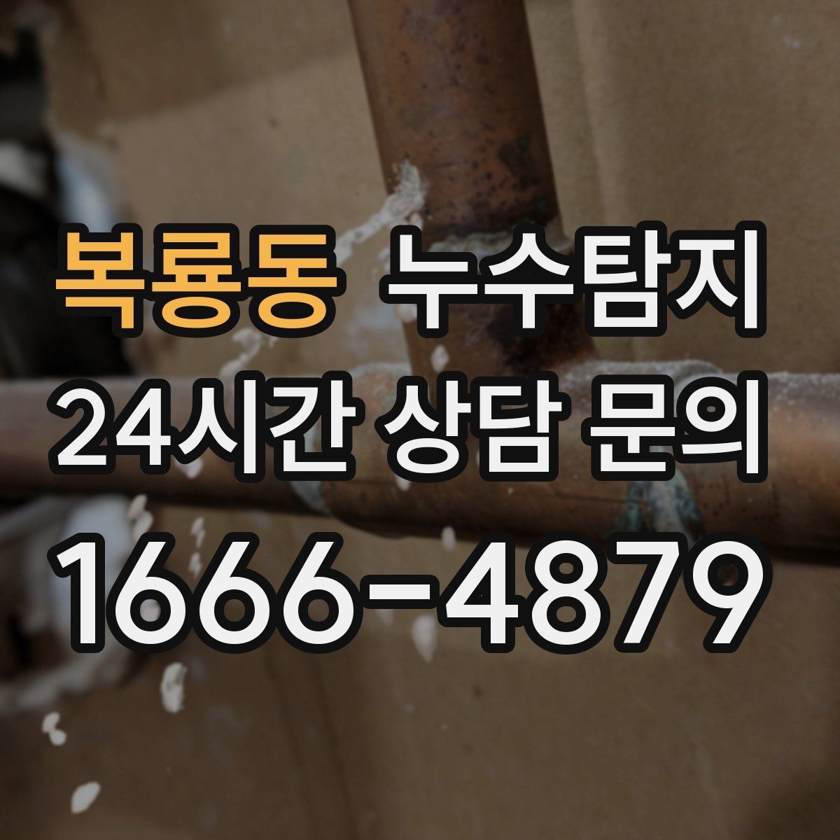복룡동 누수탐지 아파트 빌라 전문 진단
