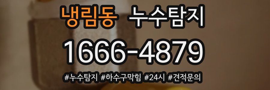 누수닥터 누수탐지