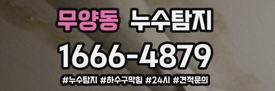 누수닥터 누수탐지