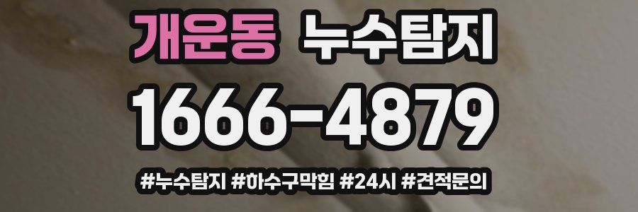 누수닥터 누수탐지