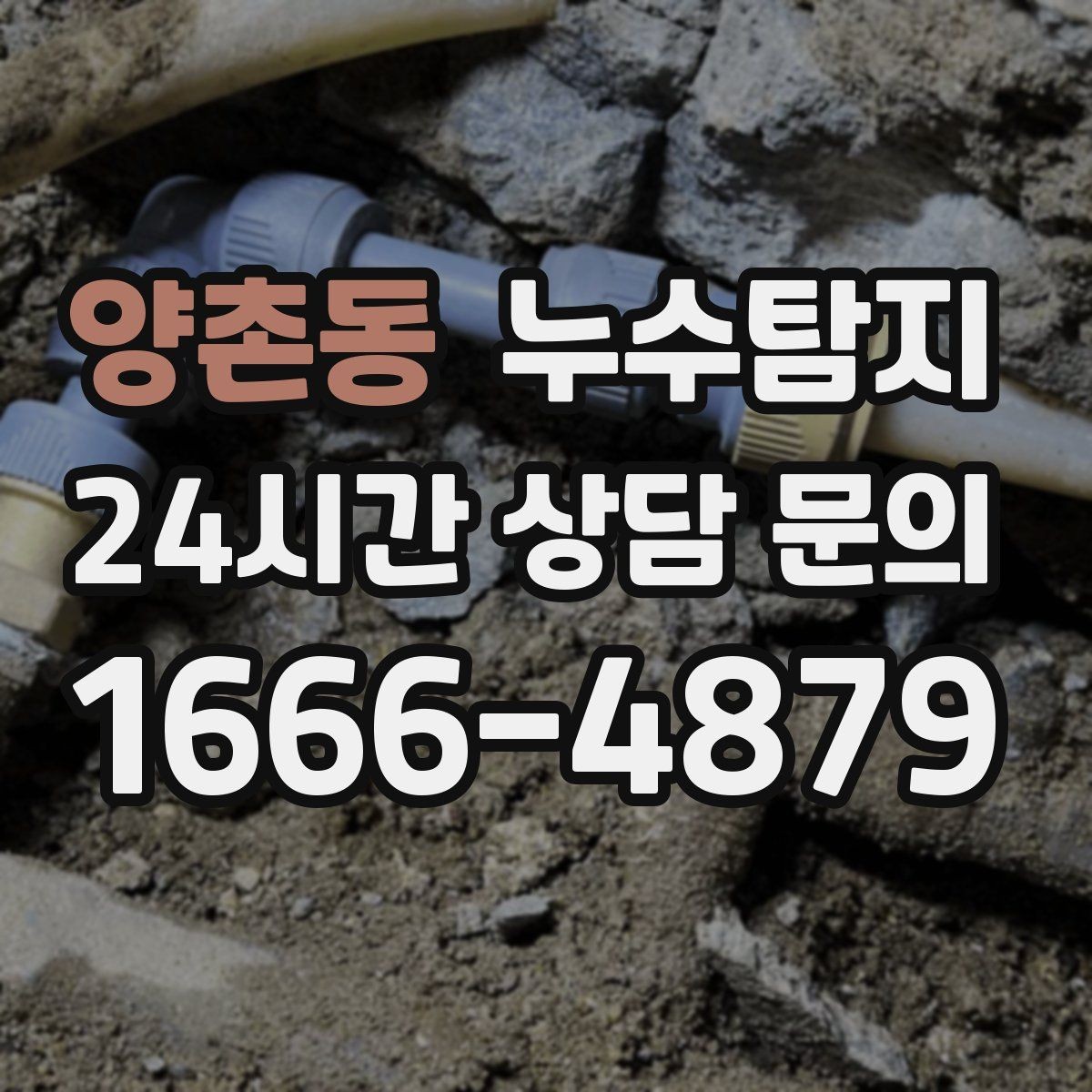 양촌동 누수탐지 공실 관리 정기 점검 운영기