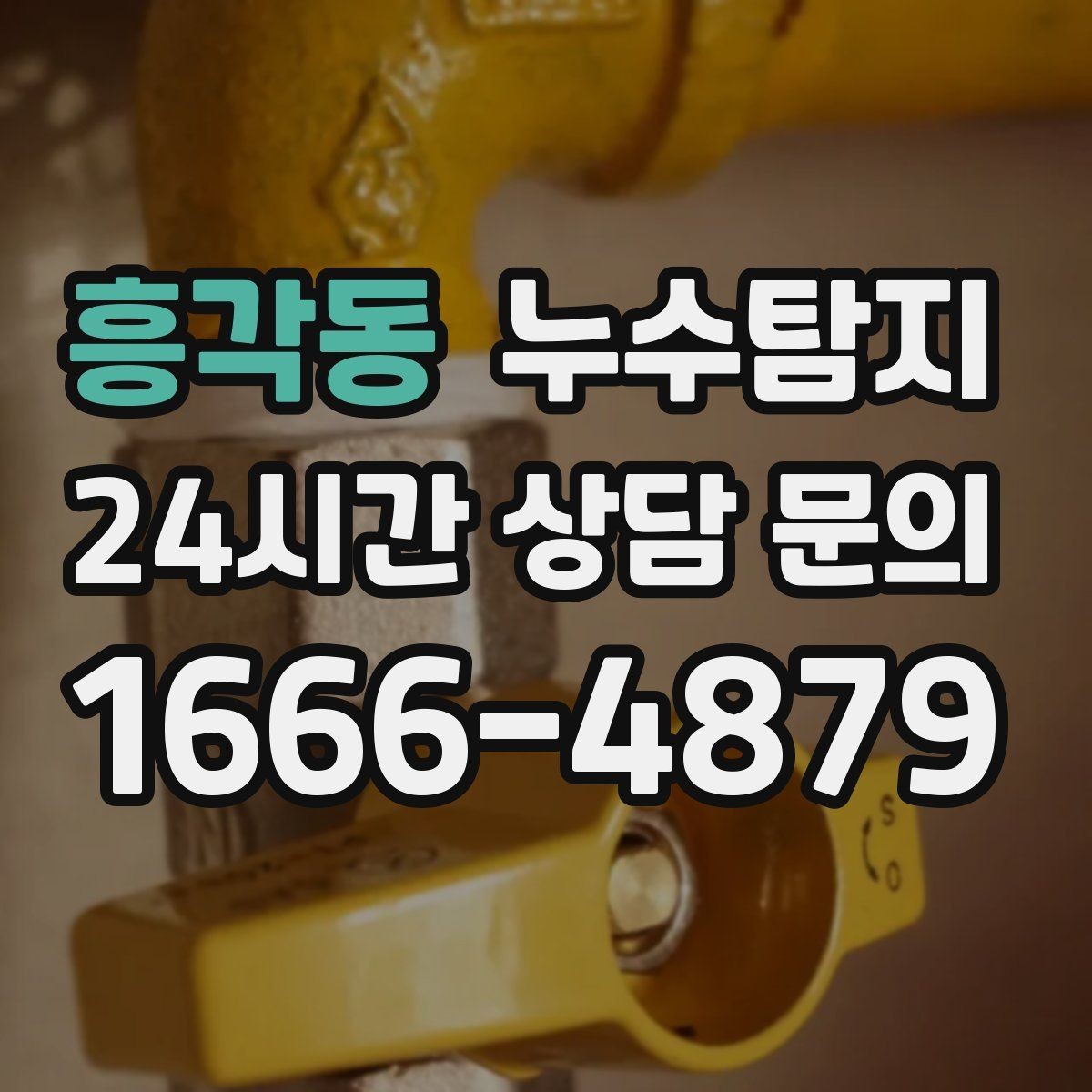 흥각동 누수탐지 새집 곰팡이 원인 차단
