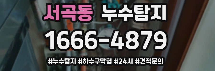 누수닥터 누수탐지