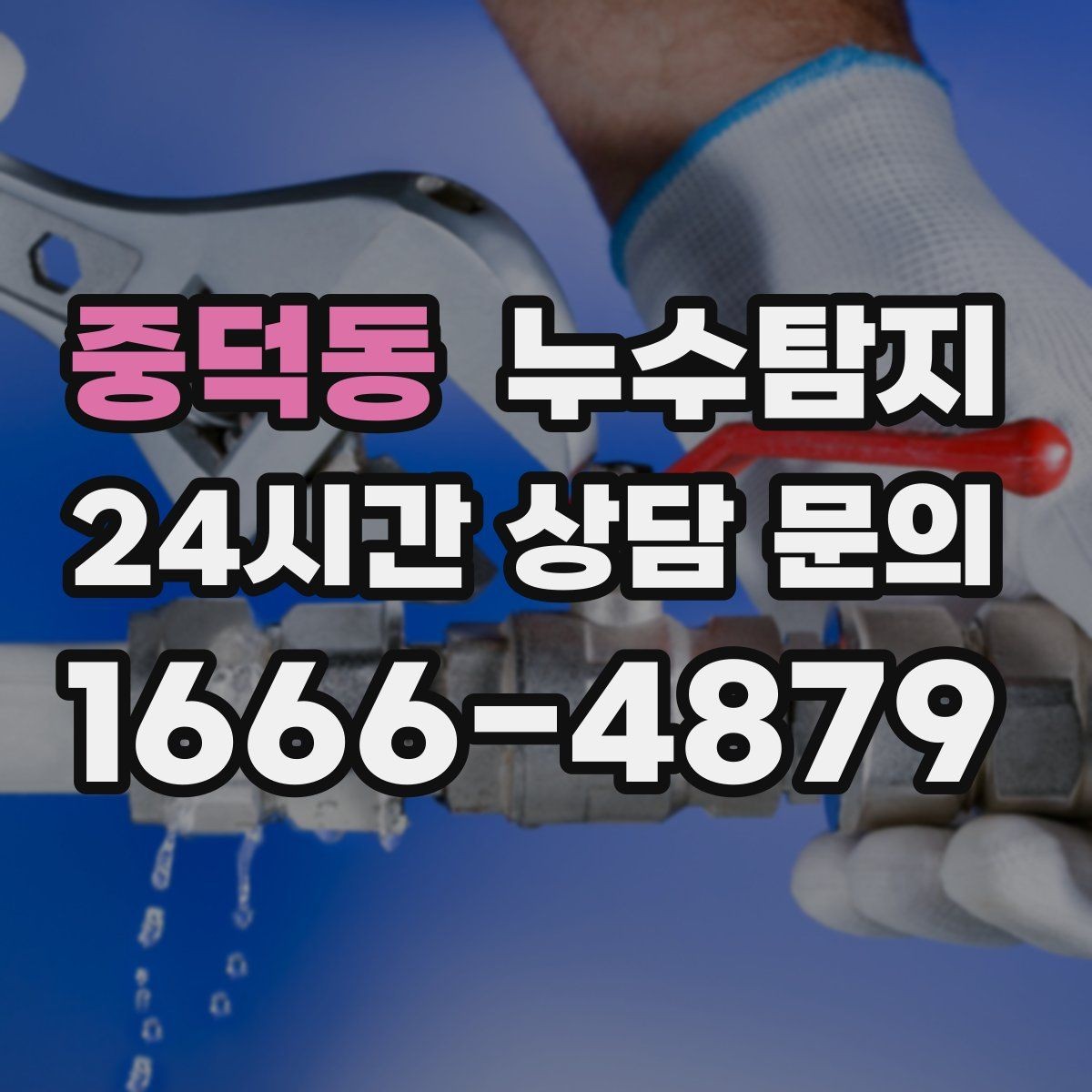 중덕동 누수탐지 정밀 장비 진단으로 숨은 누수를 재빨리 찾아냅니다.