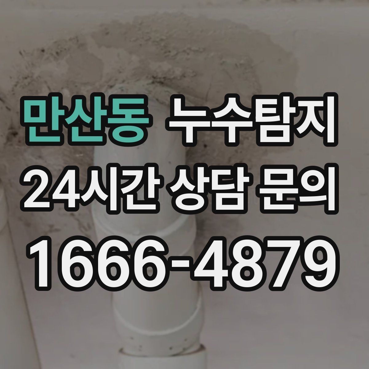 만산동 누수탐지 창고 곰팡이 제거와 재발 방지