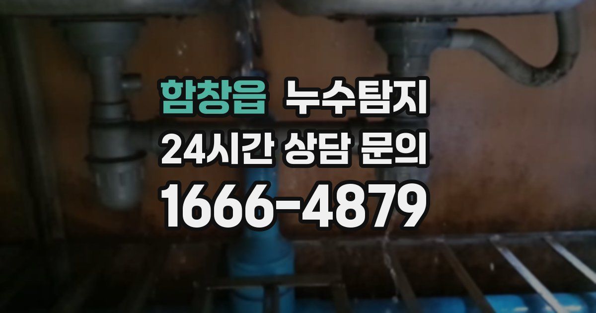 하수구막힘